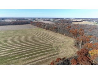 Property photo 13 - LAND AUCTION - 129+/- ACRES - 2 FARMS / 5 TRACTS - NORTHEAST ALLEN & SOUTHERN DEKALB COUNTIES