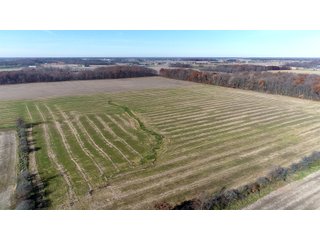 Property photo 14 - LAND AUCTION - 129+/- ACRES - 2 FARMS / 5 TRACTS - NORTHEAST ALLEN & SOUTHERN DEKALB COUNTIES