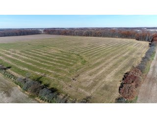 Property photo 15 - LAND AUCTION - 129+/- ACRES - 2 FARMS / 5 TRACTS - NORTHEAST ALLEN & SOUTHERN DEKALB COUNTIES
