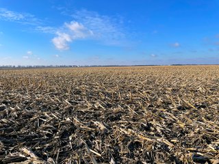 Property photo 17 - SIGNIFICANT BENTON COUNTY LAND AUCTION - 421+/- ACRES OFFERED IN 4 TRACTS - BENTON COUNTY, IN