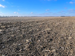 Property photo 16 - SIGNIFICANT BENTON COUNTY LAND AUCTION - 421+/- ACRES OFFERED IN 4 TRACTS - BENTON COUNTY, IN