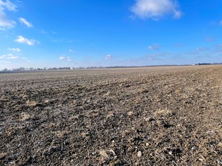 Property photo 15 - SIGNIFICANT BENTON COUNTY LAND AUCTION - 421+/- ACRES OFFERED IN 4 TRACTS - BENTON COUNTY, IN