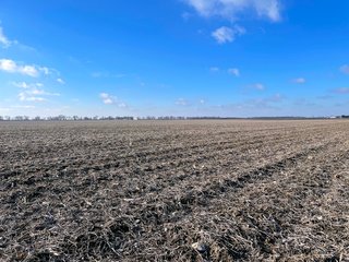 Property photo 14 - SIGNIFICANT BENTON COUNTY LAND AUCTION - 421+/- ACRES OFFERED IN 4 TRACTS - BENTON COUNTY, IN