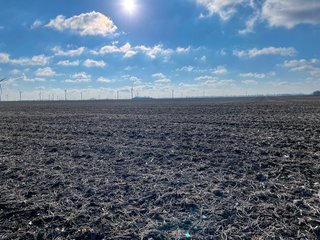 Property photo 12 - SIGNIFICANT BENTON COUNTY LAND AUCTION - 421+/- ACRES OFFERED IN 4 TRACTS - BENTON COUNTY, IN