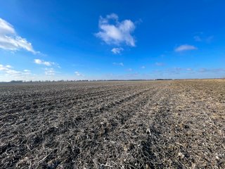 Property photo 11 - SIGNIFICANT BENTON COUNTY LAND AUCTION - 421+/- ACRES OFFERED IN 4 TRACTS - BENTON COUNTY, IN