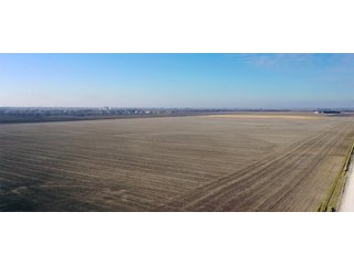 Property photo 10 - SIGNIFICANT BENTON COUNTY LAND AUCTION - 421+/- ACRES OFFERED IN 4 TRACTS - BENTON COUNTY, IN