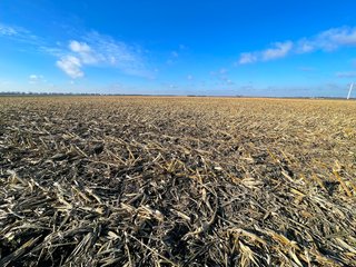 Property photo 9 - SIGNIFICANT BENTON COUNTY LAND AUCTION - 421+/- ACRES OFFERED IN 4 TRACTS - BENTON COUNTY, IN