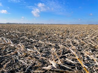 Property photo 6 - SIGNIFICANT BENTON COUNTY LAND AUCTION - 421+/- ACRES OFFERED IN 4 TRACTS - BENTON COUNTY, IN