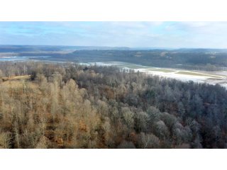 Property photo 5 - IMPORTANT LAND AUCTION - 292+/- ACRES OFFERED IN 8 TRACTS - LAWRENCE COUNTY - BEDFORD IN