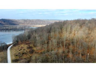 Property photo 6 - IMPORTANT LAND AUCTION - 292+/- ACRES OFFERED IN 8 TRACTS - LAWRENCE COUNTY - BEDFORD IN
