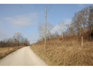 Property photo 26 - IMPORTANT LAND AUCTION - 292+/- ACRES OFFERED IN 8 TRACTS - LAWRENCE COUNTY - BEDFORD IN
