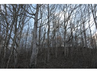 Property photo 23 - IMPORTANT LAND AUCTION - 292+/- ACRES OFFERED IN 8 TRACTS - LAWRENCE COUNTY - BEDFORD IN