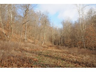 Property photo 52 - IMPORTANT LAND AUCTION - 292+/- ACRES OFFERED IN 8 TRACTS - LAWRENCE COUNTY - BEDFORD IN