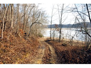 Property photo 43 - IMPORTANT LAND AUCTION - 292+/- ACRES OFFERED IN 8 TRACTS - LAWRENCE COUNTY - BEDFORD IN