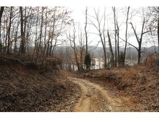 Property photo 44 - IMPORTANT LAND AUCTION - 292+/- ACRES OFFERED IN 8 TRACTS - LAWRENCE COUNTY - BEDFORD IN