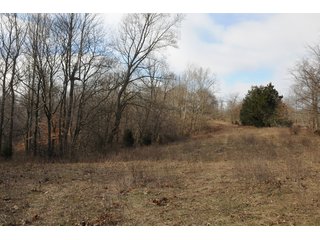 Property photo 45 - IMPORTANT LAND AUCTION - 292+/- ACRES OFFERED IN 8 TRACTS - LAWRENCE COUNTY - BEDFORD IN