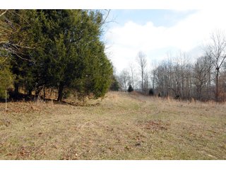 Property photo 46 - IMPORTANT LAND AUCTION - 292+/- ACRES OFFERED IN 8 TRACTS - LAWRENCE COUNTY - BEDFORD IN