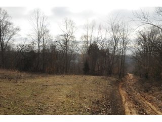Property photo 47 - IMPORTANT LAND AUCTION - 292+/- ACRES OFFERED IN 8 TRACTS - LAWRENCE COUNTY - BEDFORD IN