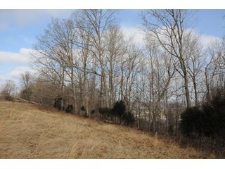 Property photo 51 - IMPORTANT LAND AUCTION - 292+/- ACRES OFFERED IN 8 TRACTS - LAWRENCE COUNTY - BEDFORD IN