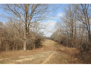 Property photo 40 - IMPORTANT LAND AUCTION - 292+/- ACRES OFFERED IN 8 TRACTS - LAWRENCE COUNTY - BEDFORD IN