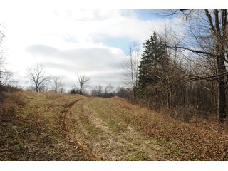 Property photo 53 - IMPORTANT LAND AUCTION - 292+/- ACRES OFFERED IN 8 TRACTS - LAWRENCE COUNTY - BEDFORD IN