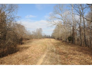 Property photo 54 - IMPORTANT LAND AUCTION - 292+/- ACRES OFFERED IN 8 TRACTS - LAWRENCE COUNTY - BEDFORD IN