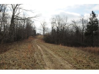 Property photo 55 - IMPORTANT LAND AUCTION - 292+/- ACRES OFFERED IN 8 TRACTS - LAWRENCE COUNTY - BEDFORD IN