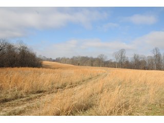 Property photo 56 - IMPORTANT LAND AUCTION - 292+/- ACRES OFFERED IN 8 TRACTS - LAWRENCE COUNTY - BEDFORD IN