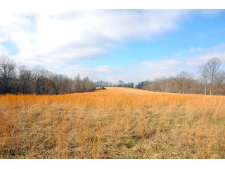Property photo 57 - IMPORTANT LAND AUCTION - 292+/- ACRES OFFERED IN 8 TRACTS - LAWRENCE COUNTY - BEDFORD IN