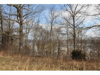Property photo 58 - IMPORTANT LAND AUCTION - 292+/- ACRES OFFERED IN 8 TRACTS - LAWRENCE COUNTY - BEDFORD IN