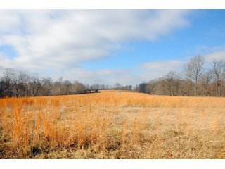 Property photo 59 - IMPORTANT LAND AUCTION - 292+/- ACRES OFFERED IN 8 TRACTS - LAWRENCE COUNTY - BEDFORD IN