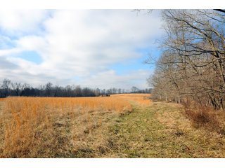 Property photo 60 - IMPORTANT LAND AUCTION - 292+/- ACRES OFFERED IN 8 TRACTS - LAWRENCE COUNTY - BEDFORD IN