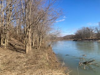 Property photo 7 - IMPORTANT LAND AUCTION - 292+/- ACRES OFFERED IN 8 TRACTS - LAWRENCE COUNTY - BEDFORD IN