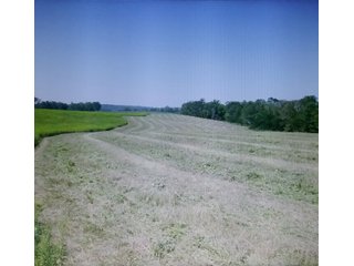 Historical Photo - IMPORTANT LAND AUCTION - 292+/- ACRES OFFERED IN 8 TRACTS - LAWRENCE COUNTY - BEDFORD IN