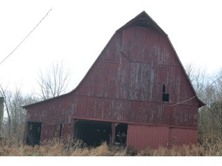 Property photo 37 - IMPORTANT LAND AUCTION - 292+/- ACRES OFFERED IN 8 TRACTS - LAWRENCE COUNTY - BEDFORD IN