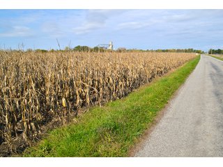 Property photo 3 - LAND AUCTION - 233+/- ACRES OFFERED IN 6 TRACTS IN PULASKI COUNTY, INDIANA