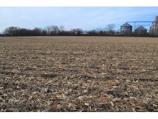 Property photo 5 - LAND AUCTION - 233+/- ACRES OFFERED IN 6 TRACTS IN PULASKI COUNTY, INDIANA