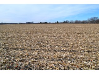 Property photo 6 - LAND AUCTION - 233+/- ACRES OFFERED IN 6 TRACTS IN PULASKI COUNTY, INDIANA