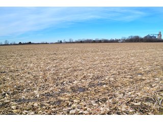 Property photo 7 - LAND AUCTION - 233+/- ACRES OFFERED IN 6 TRACTS IN PULASKI COUNTY, INDIANA