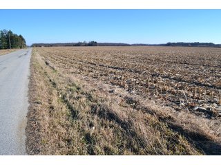 Property photo 9 - LAND AUCTION - 233+/- ACRES OFFERED IN 6 TRACTS IN PULASKI COUNTY, INDIANA