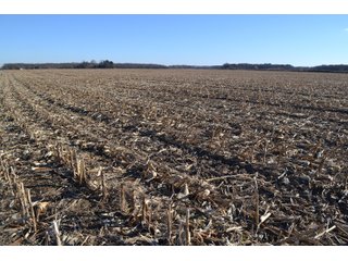 Property photo 10 - LAND AUCTION - 233+/- ACRES OFFERED IN 6 TRACTS IN PULASKI COUNTY, INDIANA