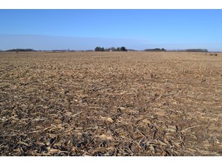 Property photo 11 - LAND AUCTION - 233+/- ACRES OFFERED IN 6 TRACTS IN PULASKI COUNTY, INDIANA