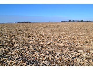 Property photo 12 - LAND AUCTION - 233+/- ACRES OFFERED IN 6 TRACTS IN PULASKI COUNTY, INDIANA