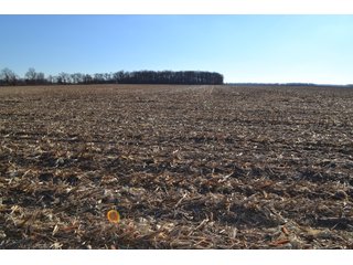 Property photo 13 - LAND AUCTION - 233+/- ACRES OFFERED IN 6 TRACTS IN PULASKI COUNTY, INDIANA