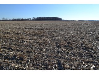 Property photo 14 - LAND AUCTION - 233+/- ACRES OFFERED IN 6 TRACTS IN PULASKI COUNTY, INDIANA