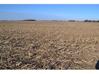Property photo 15 - LAND AUCTION - 233+/- ACRES OFFERED IN 6 TRACTS IN PULASKI COUNTY, INDIANA
