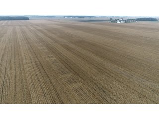 Property photo 19 - LAND AUCTION - 233+/- ACRES OFFERED IN 6 TRACTS IN PULASKI COUNTY, INDIANA