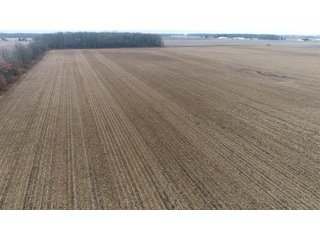 Property photo 16 - LAND AUCTION - 233+/- ACRES OFFERED IN 6 TRACTS IN PULASKI COUNTY, INDIANA