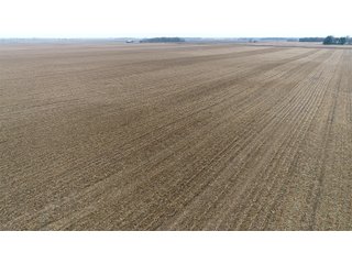 Property photo 21 - LAND AUCTION - 233+/- ACRES OFFERED IN 6 TRACTS IN PULASKI COUNTY, INDIANA