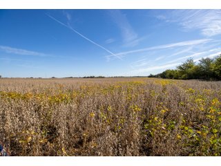 Tract 10 - HOMESITE & DEVELOPMENT LAND AUCTION - 160+/- ACRES OFFERED IN 10 DESIRABLE TRACTS - FROM 10 TO 70+/- ACRES